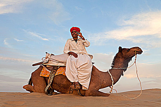印度,拉贾斯坦邦,部落男人,坐,骆驼,打手机