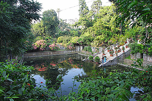 花园,植物园,老,局部,城市,达卡,一个,孟加拉,自然学家