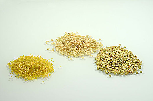 黍,稻米,荞麦