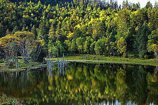 高原森林湖泊