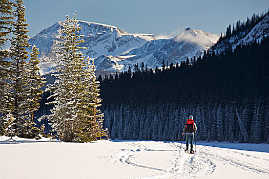 女性,雪鞋,遮盖,湖,积雪,常绿植物,山峦,背景,蓝天,路易斯湖,艾伯塔省,加拿大