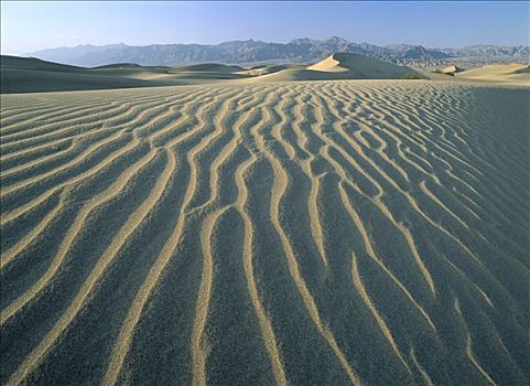 马斯奎特沙丘,死亡谷国家公园,加利福尼亚