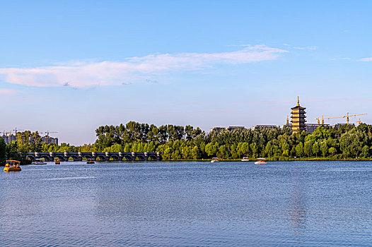 荷花盛开的长春北湖湿地公园景观