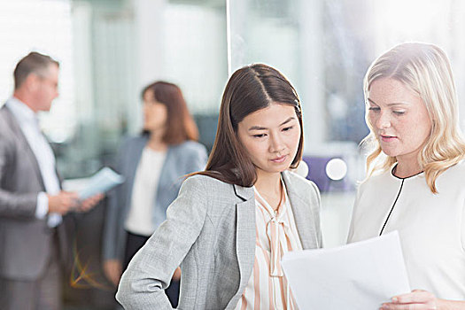職業女性,討論,文件,辦公室