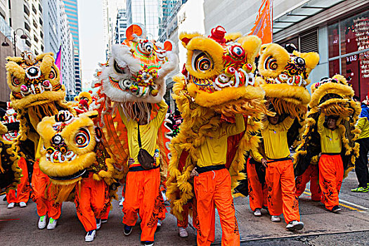 中国,香港,新年,白天,节日,游行,中国狮子,舞者