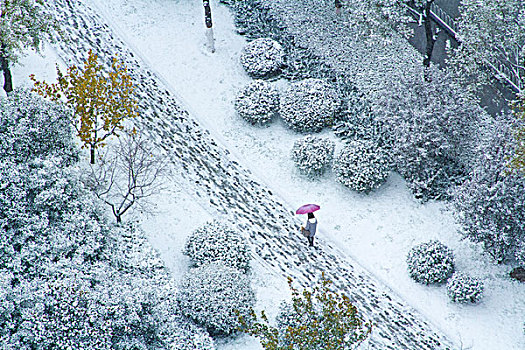 都市雪景