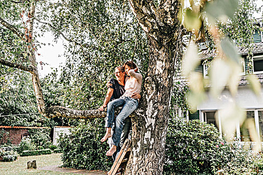 夫妻,坐,树上