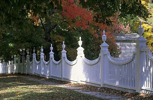 栅栏,秋天,色彩,枫树,佛蒙特州,美国