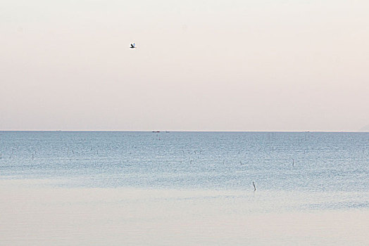 江门银湖湾湿地风光