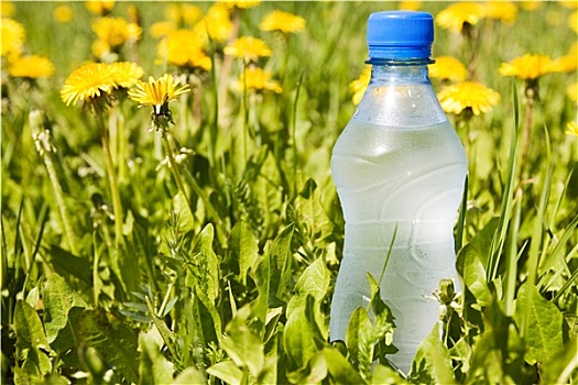 水瓶,夏日草地