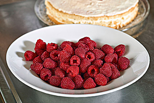 制作,树莓蛋糕,准备,树莓
