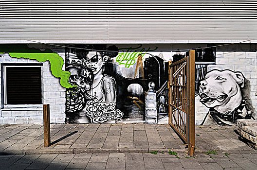 街道,涂鸦,施瓦宾格,慕尼黑,巴伐利亚,德国,欧洲
