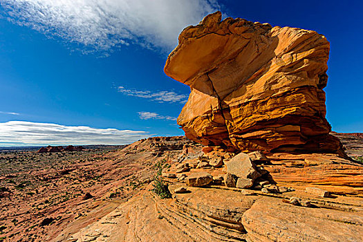 层次,沙岩构造,弗米利恩崖,荒野,亚利桑那,美国