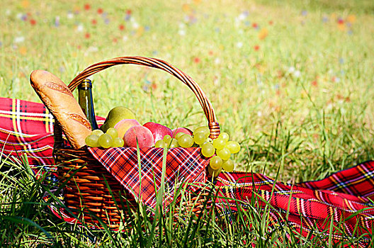 野餐篮,水果,面包,葡萄酒,花,草地,背景