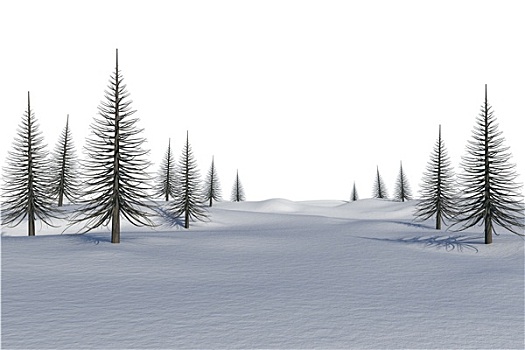 白色,雪景,枯木