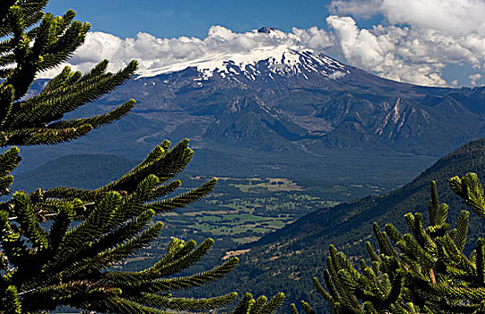 国家公园,智利,南美,高处,山谷