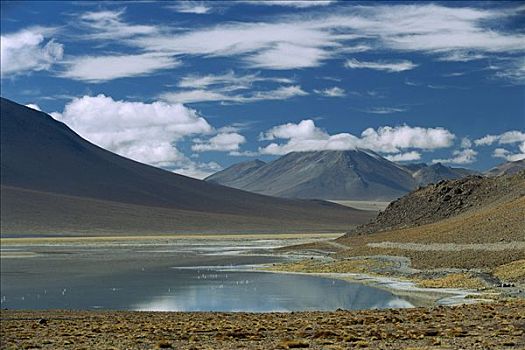 高,安第斯,湖,高原,西南部,玻利维亚