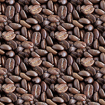 咖啡豆,耕作,纹理