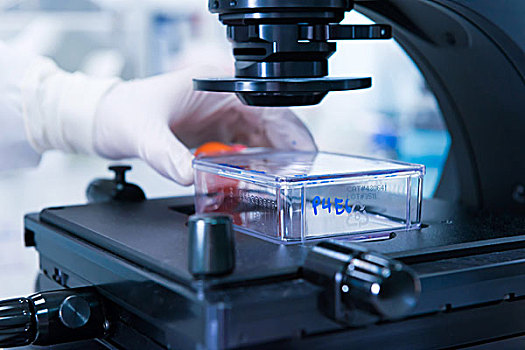 癌症研究,实验室,男性,科学家,细胞,显微镜