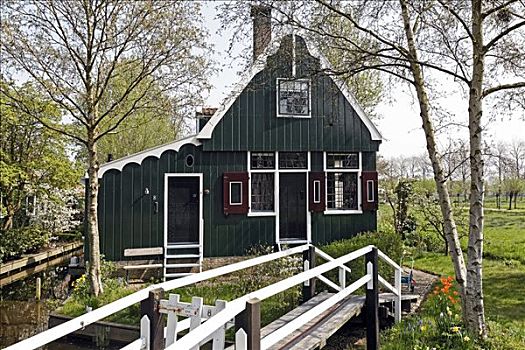 传统,荷兰,木屋,步行桥,露天博物馆,北荷兰,欧洲