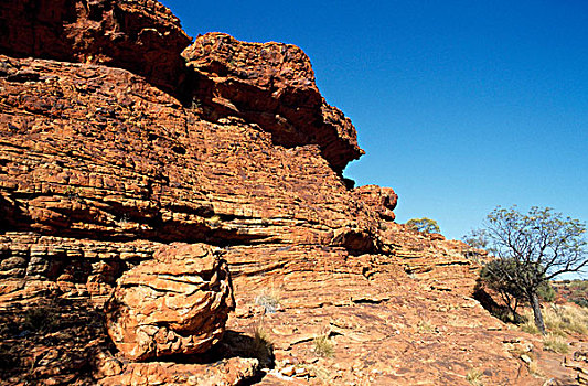 仰视,岩石构造,国王峡谷,国家公园,北领地州,澳大利亚