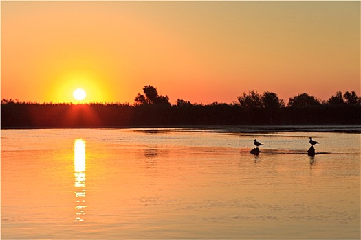 日出,多瑙河三角洲