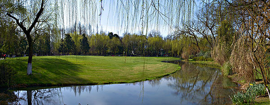 西湖十景,柳浪闻莺