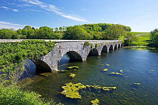 拱桥,上方,水塘,桥,百合,彭布鲁克郡,海岸,国家公园,威尔士