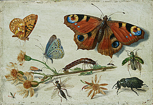 三个,蝴蝶,甲虫,昆虫,切,早,艺术家