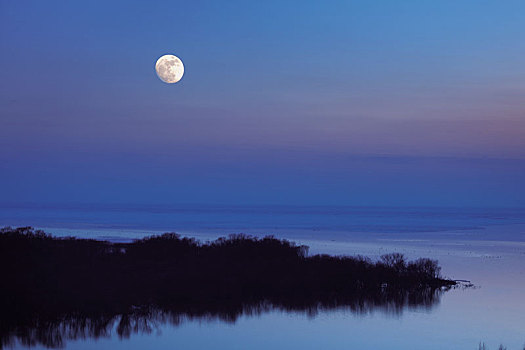 湖面明月