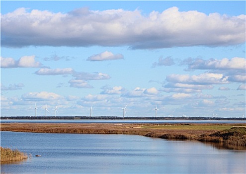 丹麦,峡湾,风车,地平线