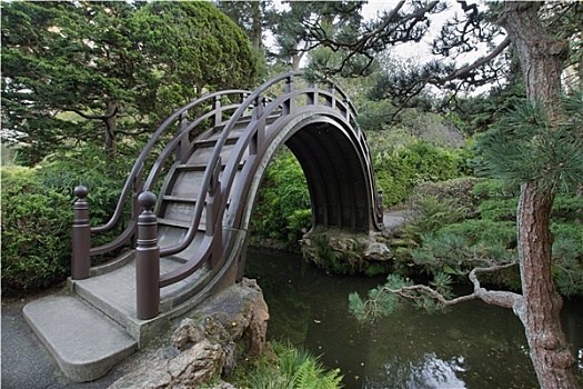 木桥,日式庭园,旧金山