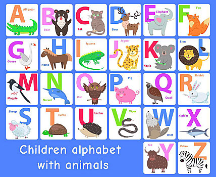 孩子,字母,动物,文字,学习,图表,名字,矢量,动物园,高山