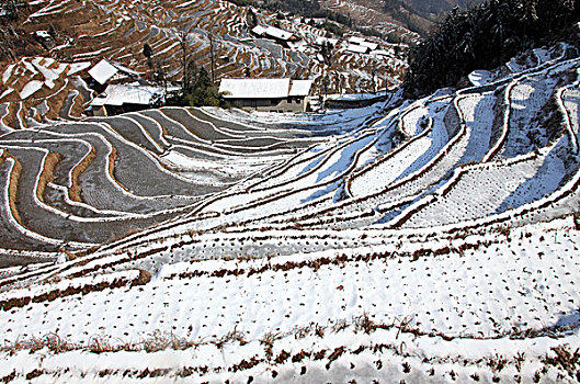 湖南娄底新化紫鹊界梯田,冬季