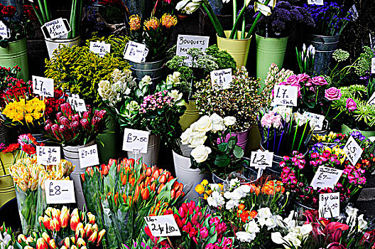 英格兰,伦敦,城区,花,出售,花商,货摊,博罗市场