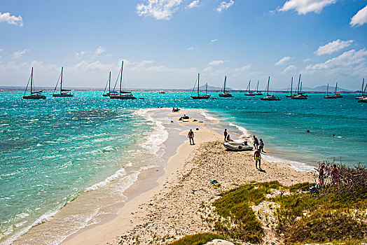 白沙,堤岸,青绿色,水,多巴哥岛,格林纳丁斯群岛,加勒比