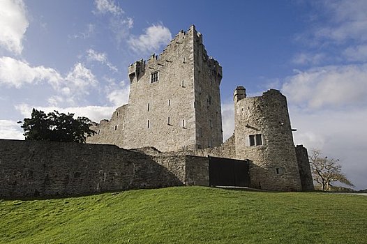 城堡,国家公园,凯瑞郡,爱尔兰