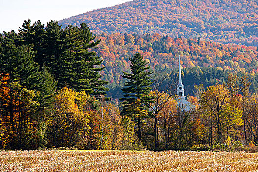 美国,佛蒙特州,秋天,风景,教堂