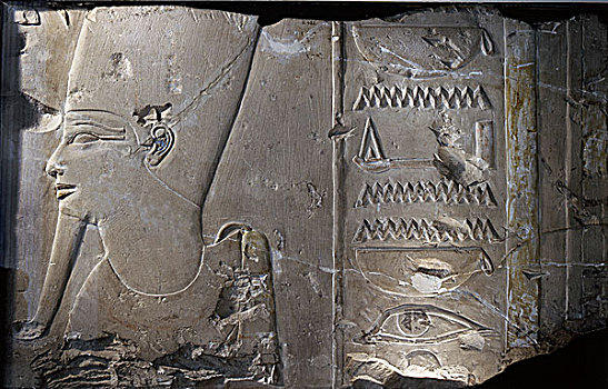 浮雕,头部,古埃及,第十八王朝