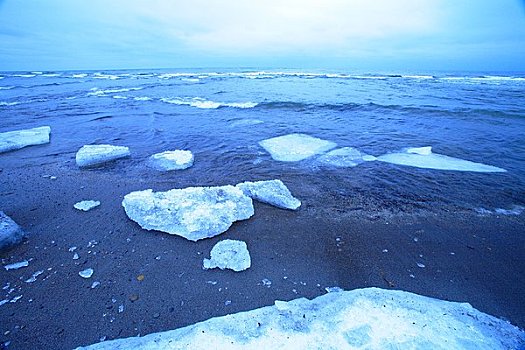 冰,搁浅,海岸