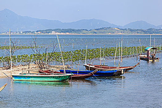 惠东盐洲岛