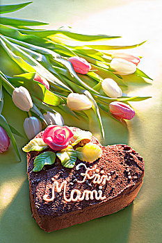 巧克力蛋糕,文字,毛皮,母亲节,花