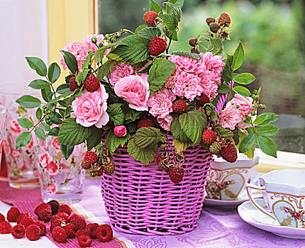 树莓,玫瑰,粉色,篮子