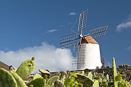 风车,兰索罗特岛,加纳利群岛,西班牙,欧洲