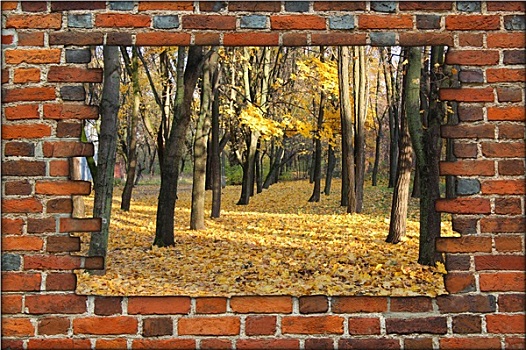 破损,砖墙,风景,秋天,公园
