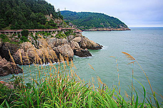 礁石,岩石,海浪,海岸线,海边栈道