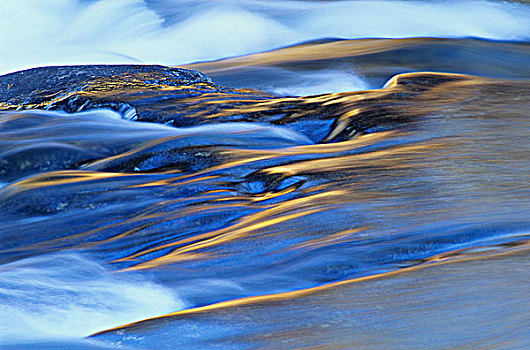 飘动,水,急促,河,省立公园,安大略省,加拿大