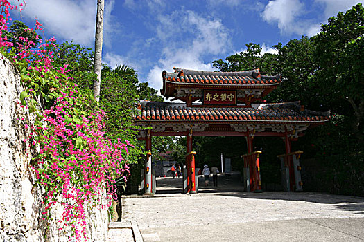 岛屿,城市,冲绳