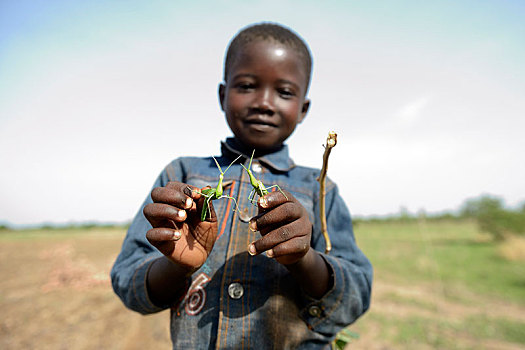 男孩,7岁,两个,螳螂,省,北方,区域,布基纳法索,非洲