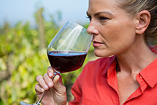 女性,酿酒商,嗅,葡萄酒杯,葡萄园